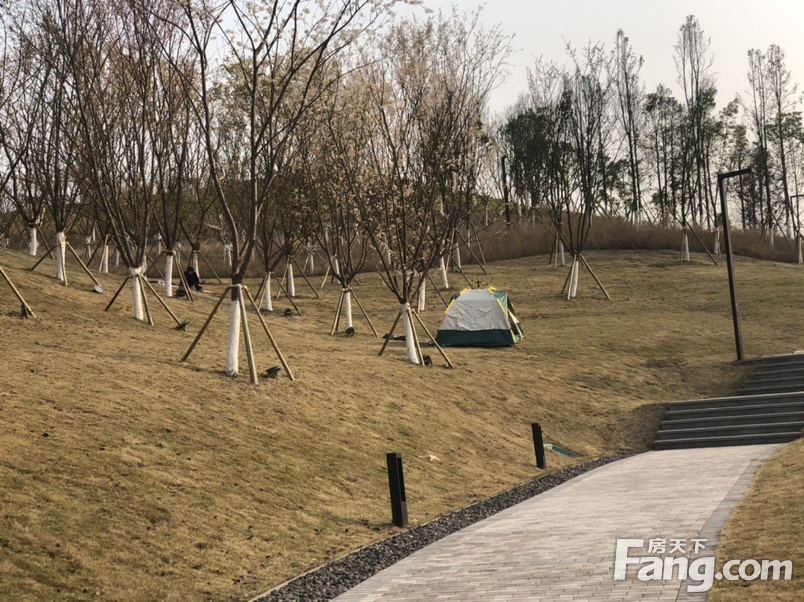 融创曾小丽,融创云鼎城最新进展