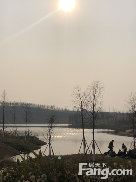 融创曾小丽,融创云鼎城最新进展