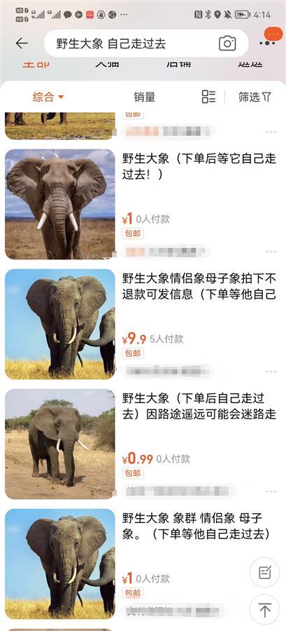 1.11元网购野生大象,网购野生大象自己走来家门口视频