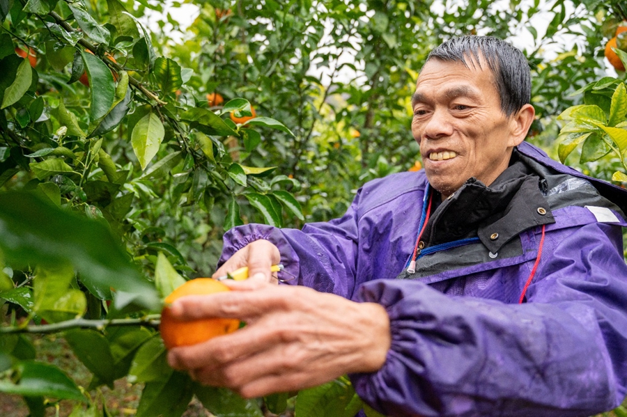 总书记*会两**上关心的10件民生“小事”|“过上了祖祖辈辈梦寐以求的小康生活”——探访广西河池易地扶贫搬迁群众新生活