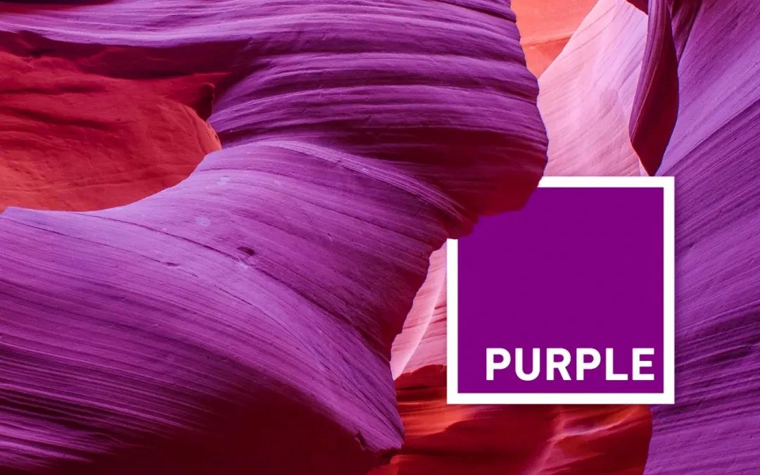 偏爱紫色的人浪漫,偏爱紫色的人是什么原因