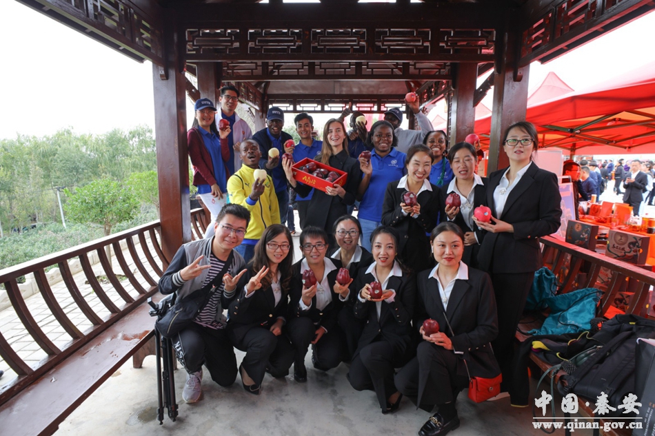 电商经济激活乡村振兴新引擎,秦安县乡村振兴