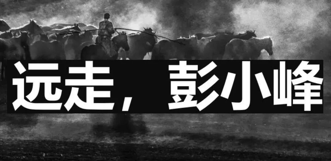 长文完结推文,长文放下过去