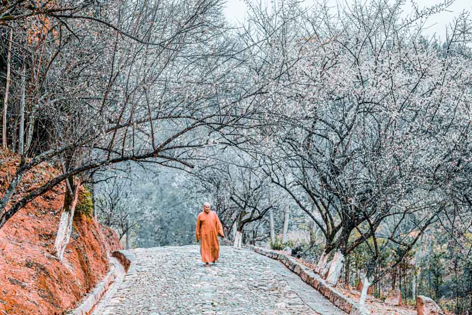 西行纪的简介,西行纪传记