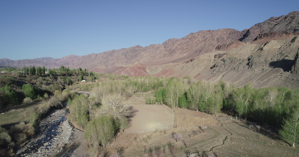 西行纪的简介,西行纪传记