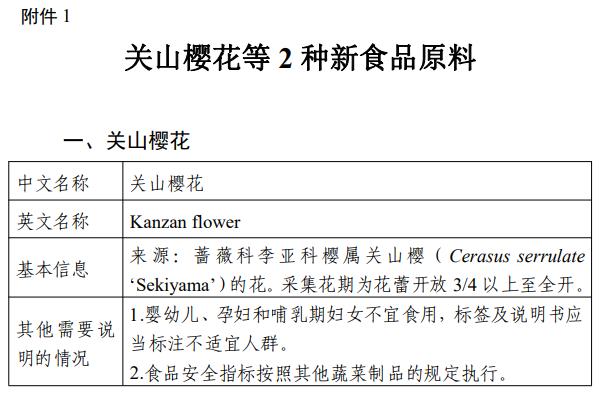 樱花有多可爱迷人,中国樱花为什么没有日本樱花好看