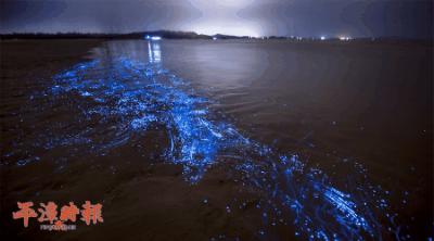 蓝眼泪的传说简短,揭秘蓝眼泪