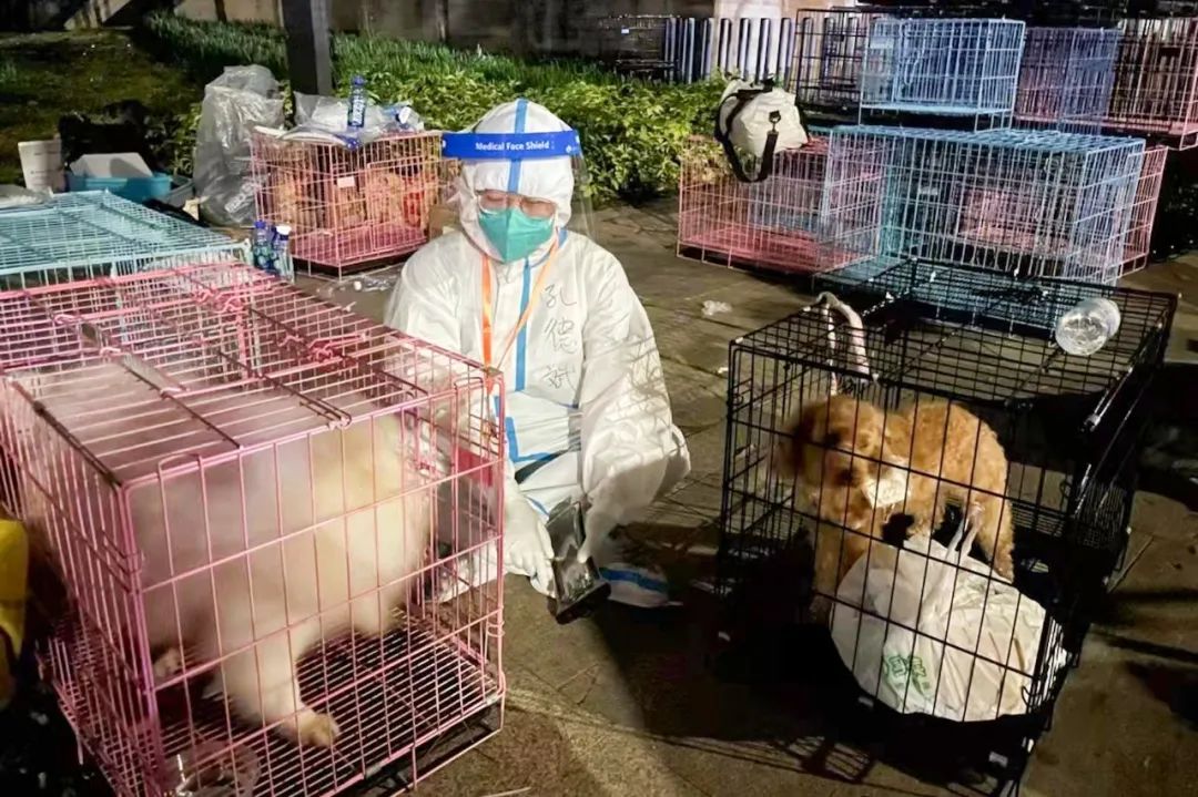 宠物方舱,宠物方舱真相在哪