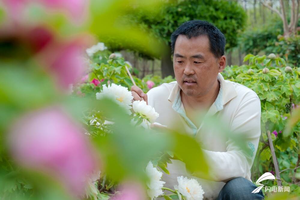 菏泽百花争艳惹人醉,菏泽最著名的牡丹花有什么