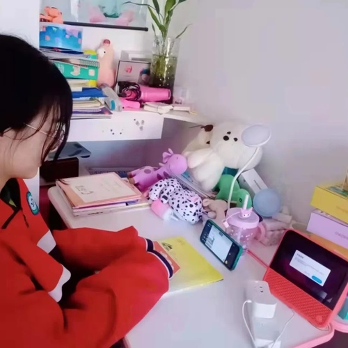 心理健康直播课家校共育,第三期家校共育心理健康专题讲座