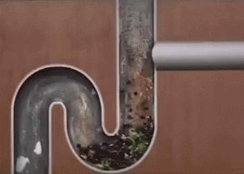 下水道堵塞臭,下水道有空气堵塞怎么疏通