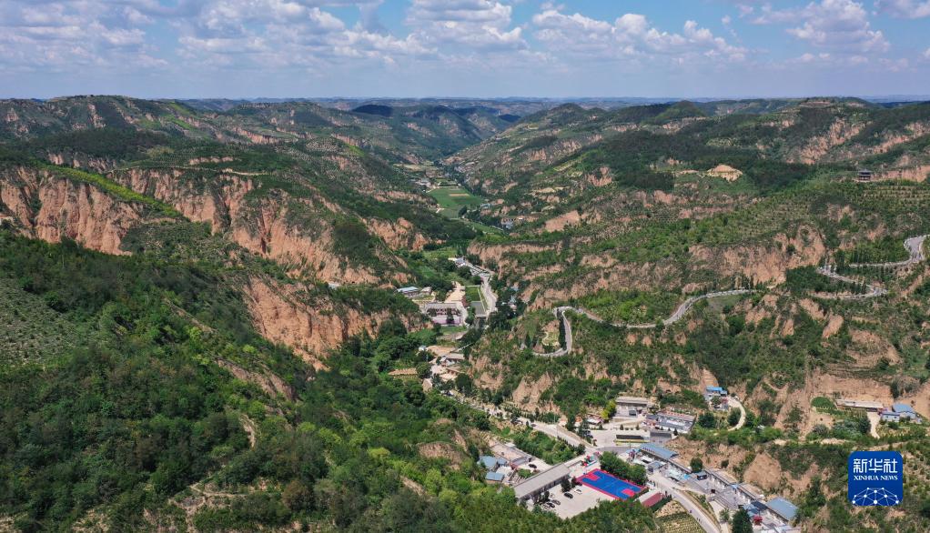 习*平近**的读书故事