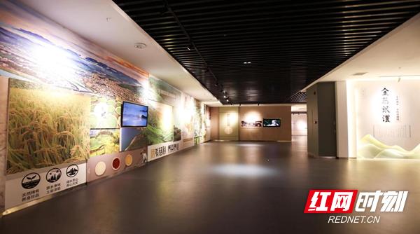 张家界春节旅游推荐路线,张家界春节旅游推荐路线图片