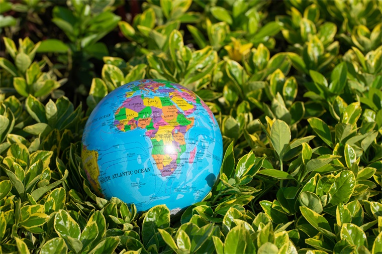 阿里巴巴官方微博发布减碳账单,阿里发布2021减碳账单