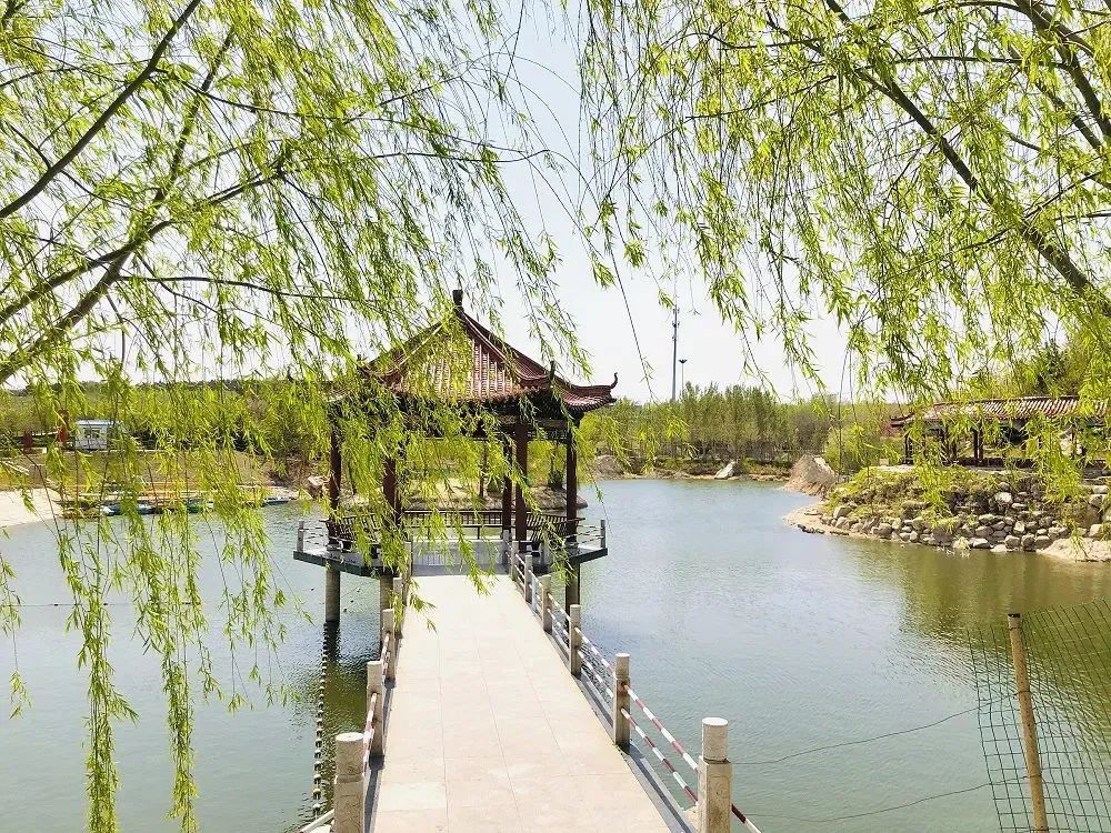 烟台文旅开放日,烟台小长假文旅活动