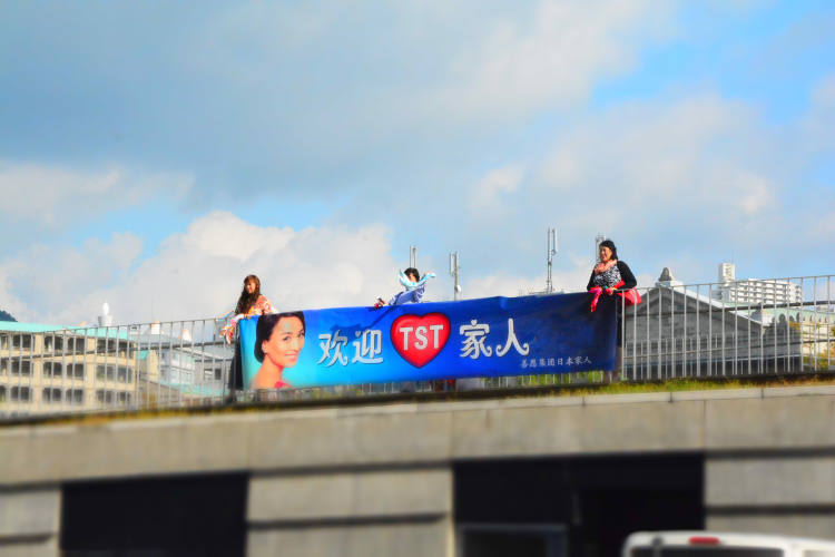 tst真的传销吗,多名宝妈被网络投资诈骗