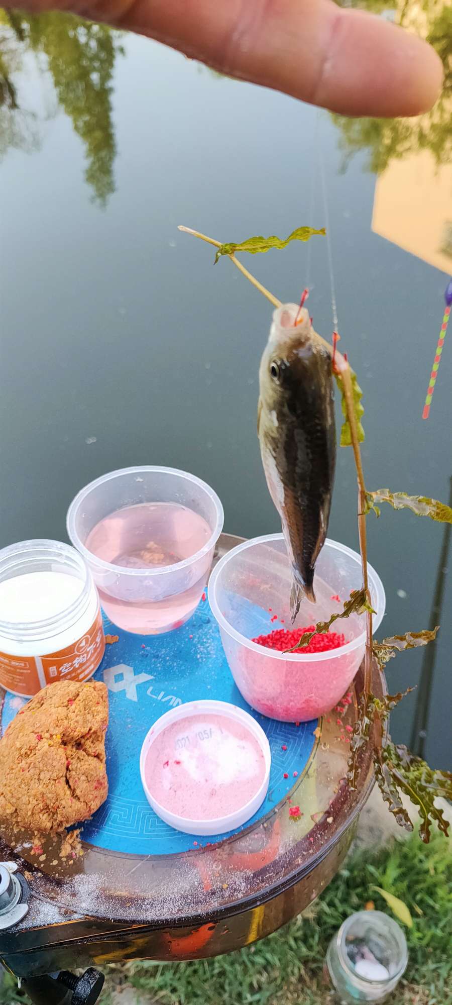 野钓避小鱼实战教学,小钩钓鱼如何避杂鱼