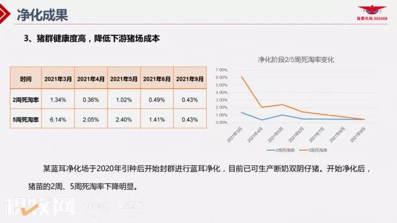 王声会：头均效益提高6376元！中芯种业蓝耳病净化体系详解