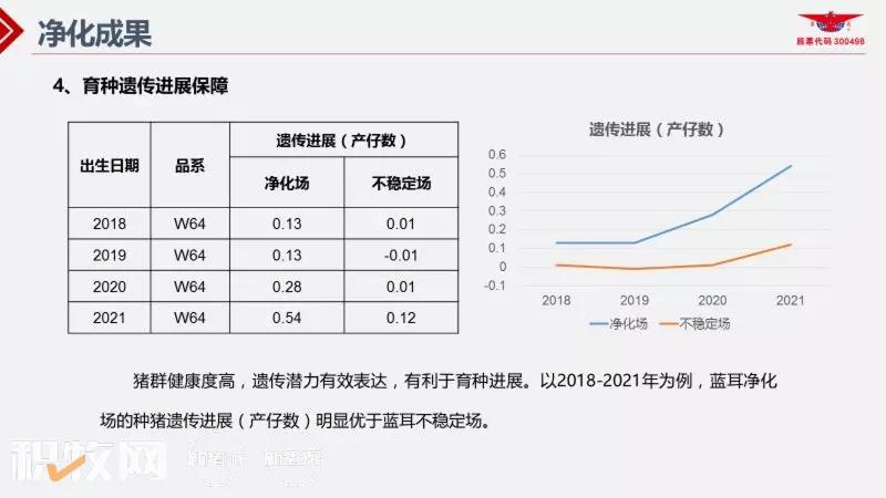 王声会：头均效益提高6376元！中芯种业蓝耳病净化体系详解