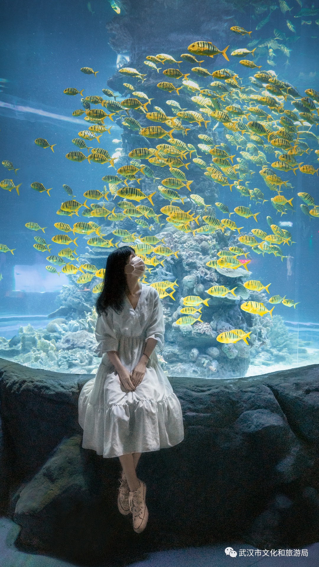 武汉十大必玩处,武汉十大儿童必玩地方