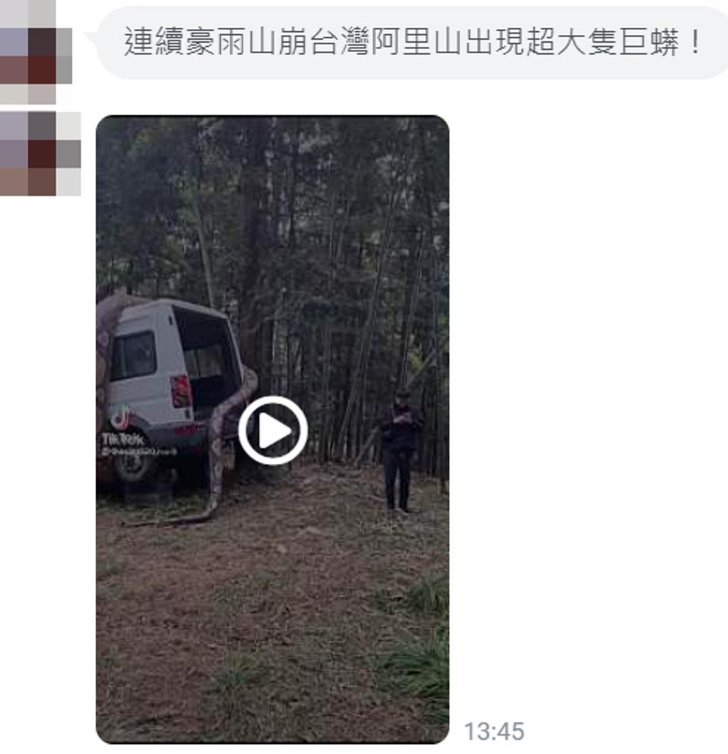 最大的巨蟒出现在哪里,三米长的巨蟒现身闹市视频