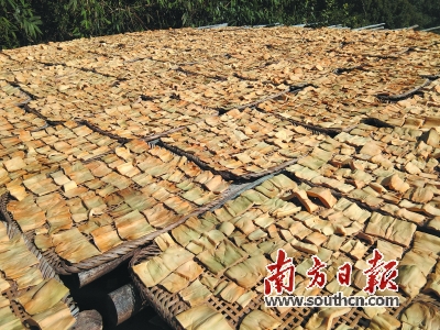 笋要剥到哪里,笋到家了前面一句是什么