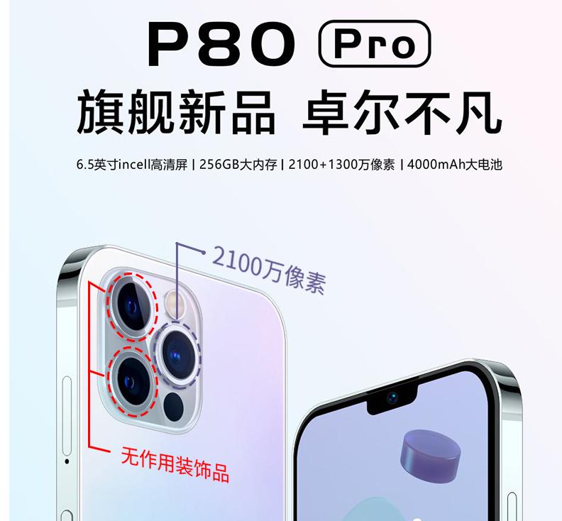 鑺卞紡姹傜敓,鑺卞紡姹傜敓澶у叏