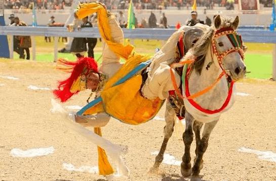 非遗赛马项目,少数民族赛马纯血马