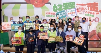 内销低价贱售，外销没有达标，*进党民**“三支箭”重伤台湾凤梨释迦