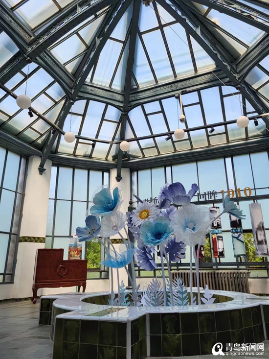 青岛a级景区免门票游玩攻略,青岛极地海洋世界免票政策