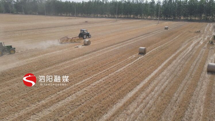 澶氭帾骞朵妇绉哥鎵撳寘,娉楅槼绉哥