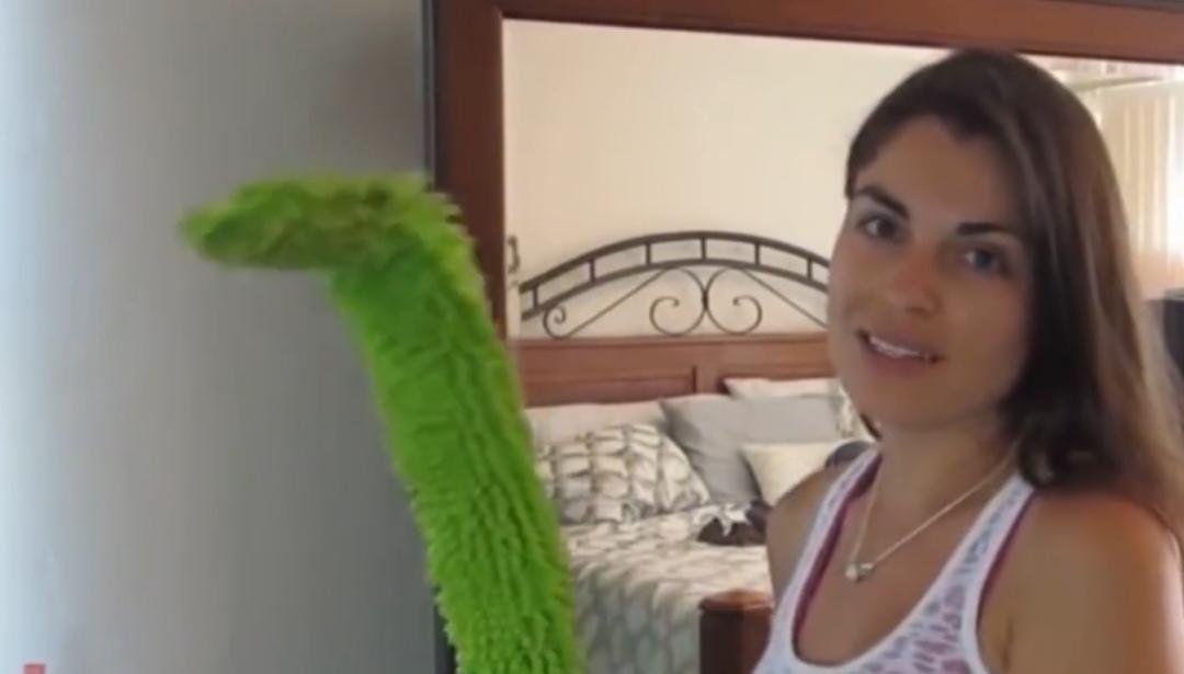 房间出现很多小虫怎么解决,家里白色细微小虫怎么处理