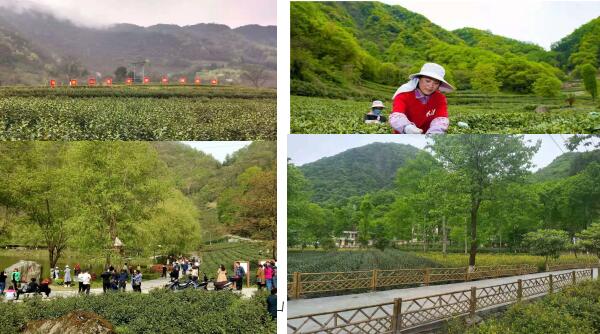 甘肃陇南合村并镇名单公布,甘肃省七个衔接