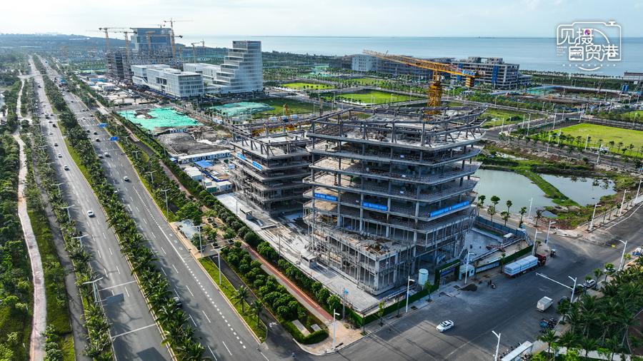 见摄自贸港｜海口江东新区项目专员“接单”为企业“跑腿”