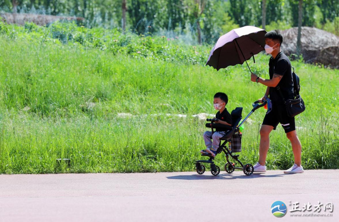 漫步城中,漫步草原美景