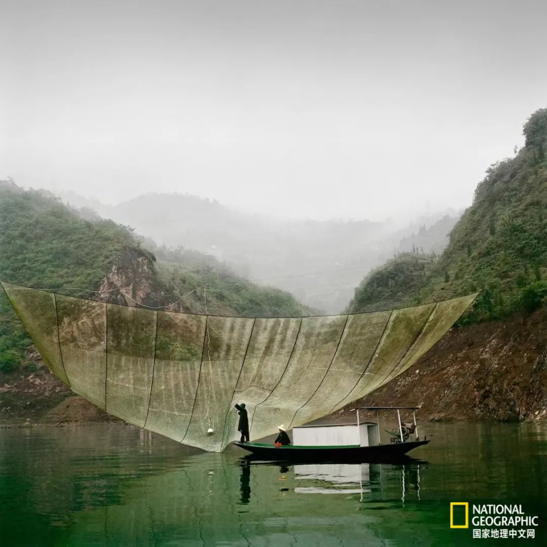 电影诞生以来最伟大的30部作品,最伟大的作品详解