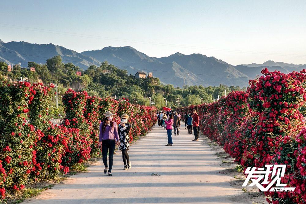 潼关古城唯一保存至今的街区,今日的潼关古城