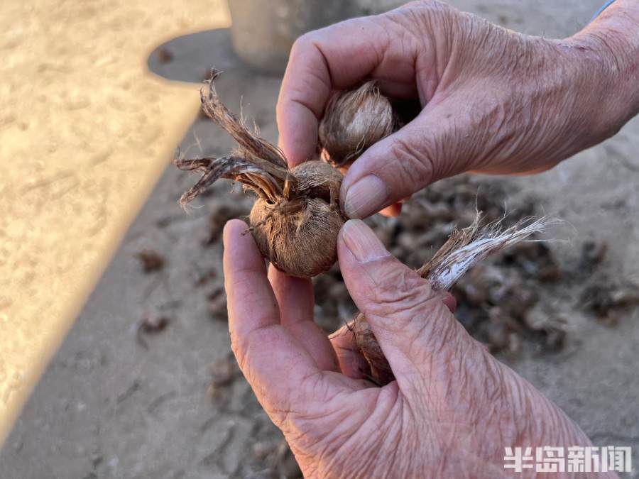 松下问童子言师采药去书法落款,松下问童子言师采药去采的什么药