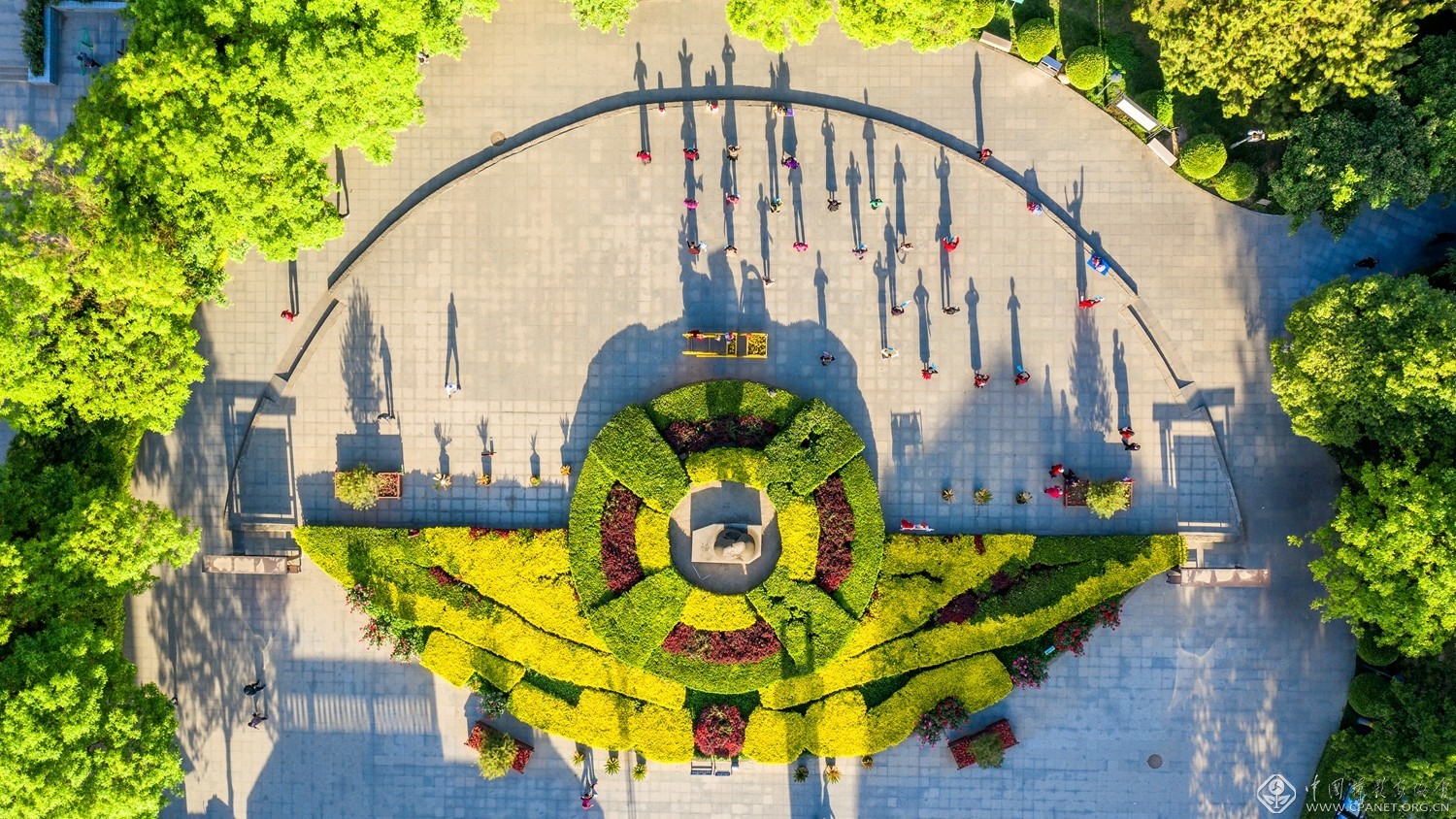 我为群众办实事活动献言献策,石家庄市我为群众办实事擂台赛