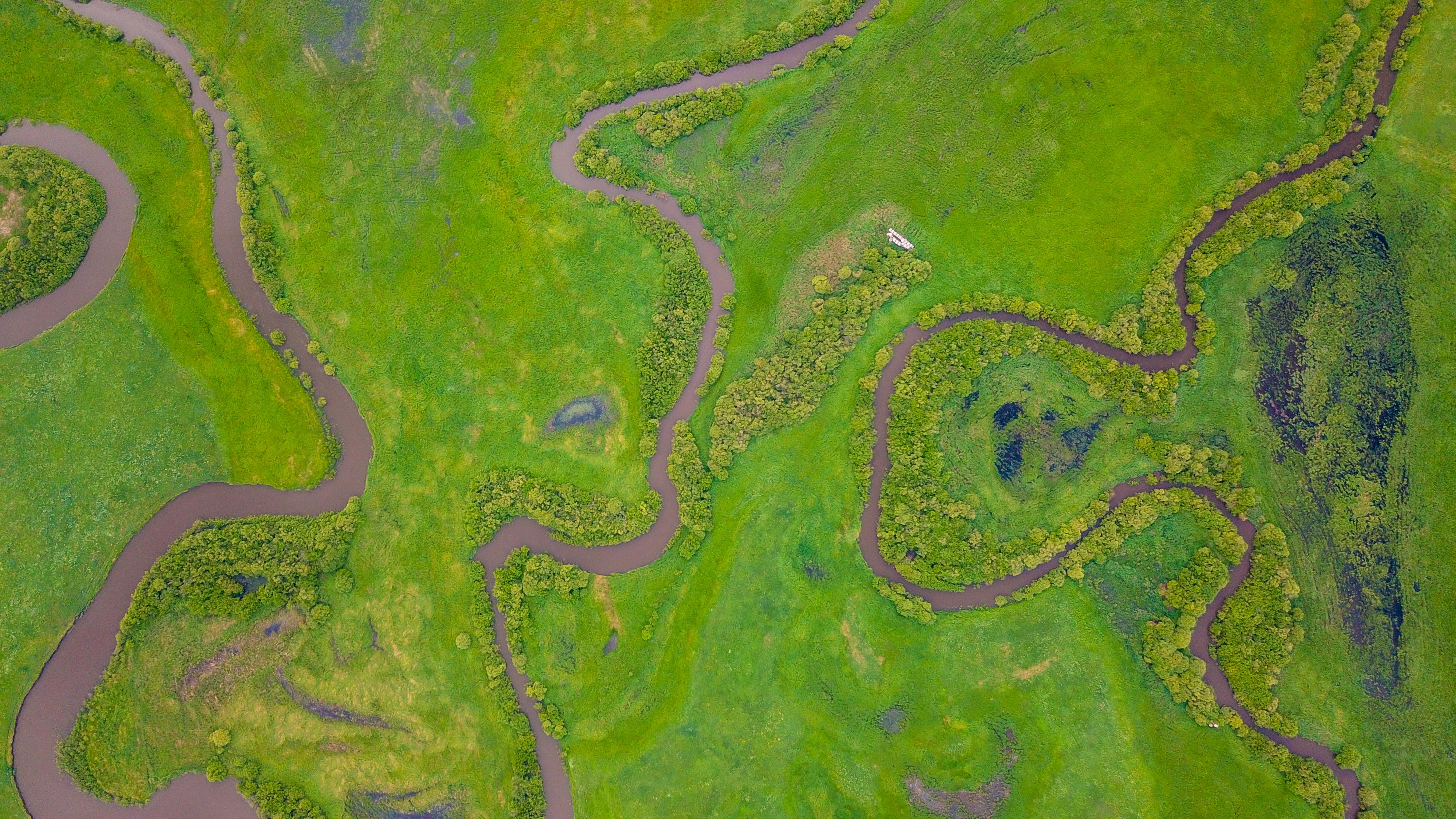 大美乌拉盖,大美乌拉盖动态谱