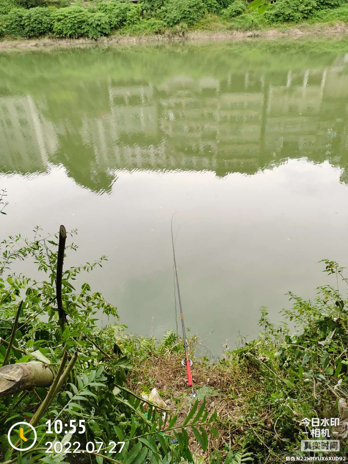 「七月鱼获」骗最憨的巨草！上最憨的洋当
