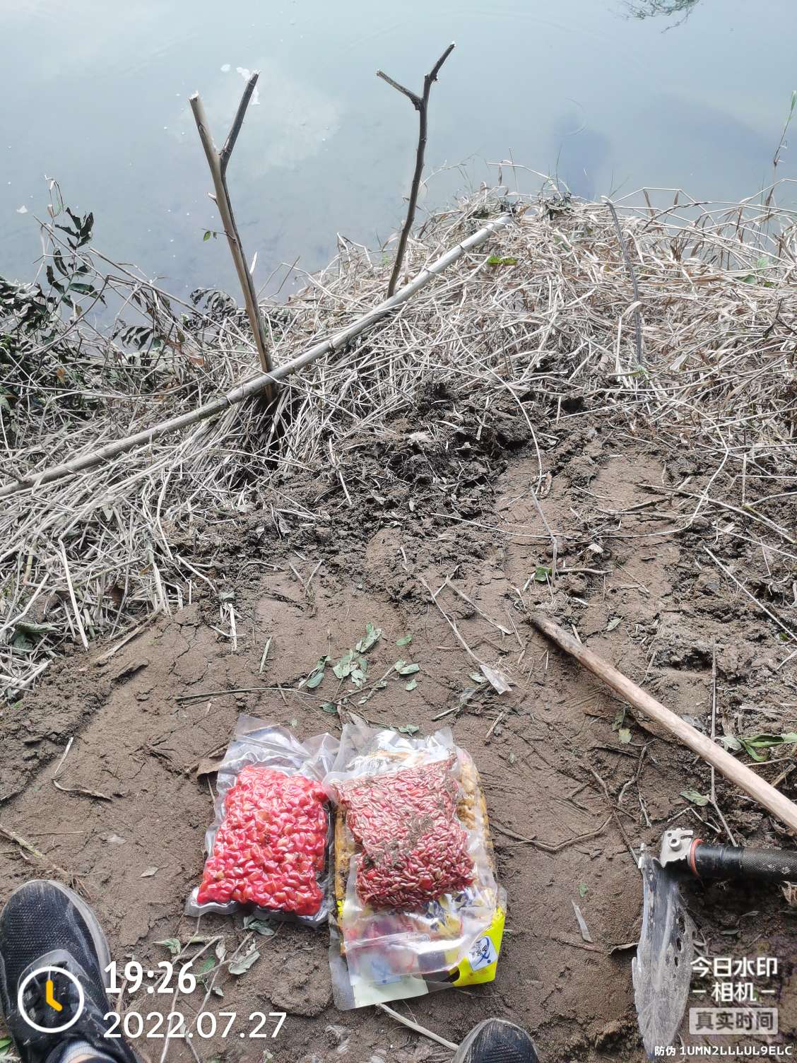 「七月鱼获」骗最憨的巨草！上最憨的洋当