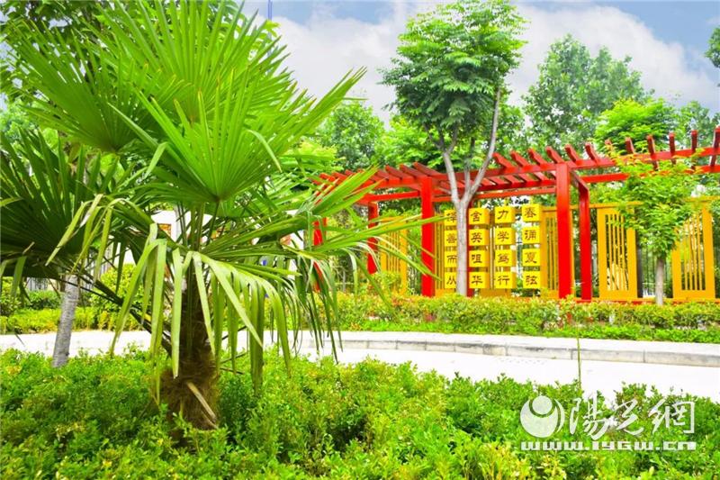 西安市浐灞32小：家门口的好学校