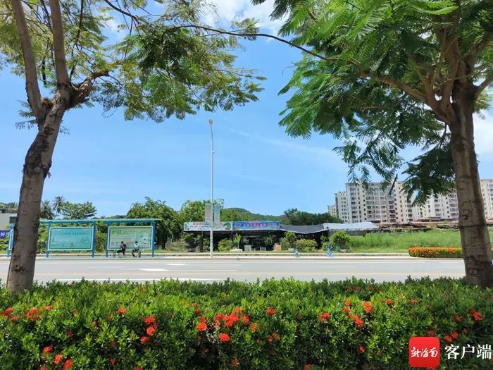 名字太俗？三亚“狗岭路”改名之争，你站哪边？