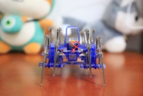 七夕礼物你们心动吗,七夕礼物必须查收吗