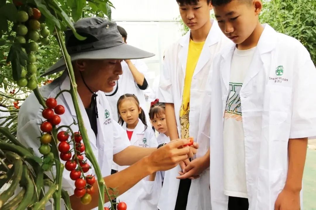 大理弥渡数字农业公园抖音团购,大理弥渡数字农业公园优惠