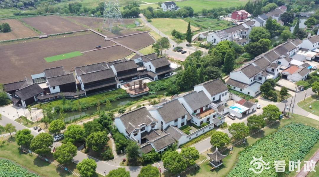 网红冯梦龙,网红是怎样炼成的小说