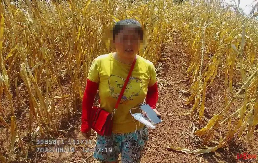 没有转账但是显示转账成功,我没有转账但是有转账记录