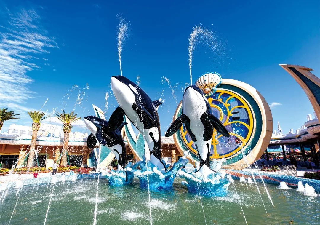 上海海昌与金鹰合作,海昌海洋公园合作