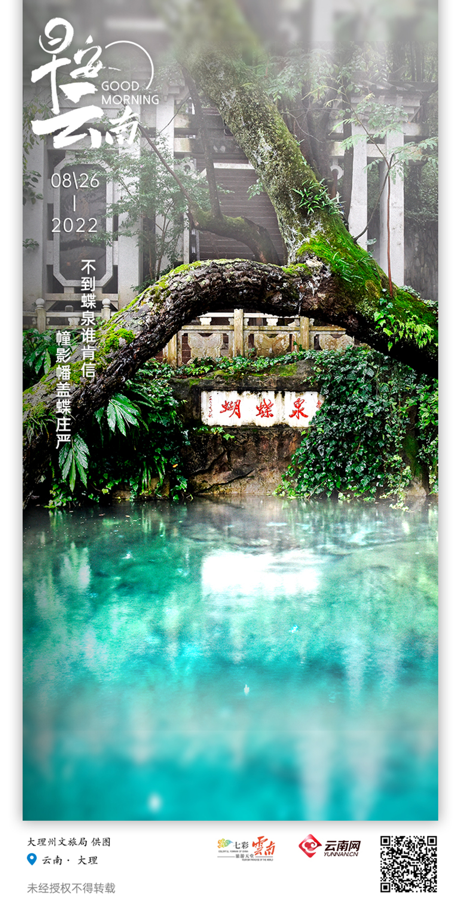 早安云南大理,大理蝴蝶泉景区与五朵金花